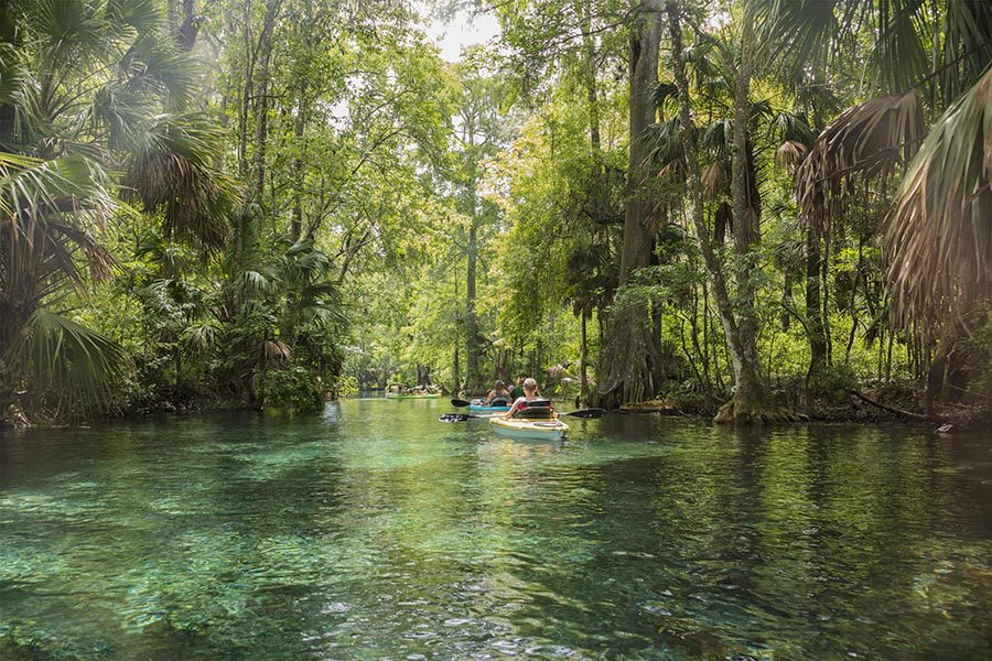 Ocala, FL Insurance - Kayakers Floating Through a Canal in Green Water, Tall Trees on either Side